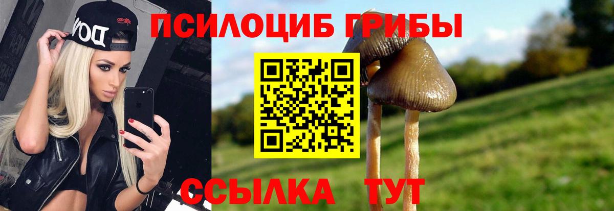 Великий Новгород  Галлюциногенные грибы прущие грибы  Вход с VPN  Псилоцибиновые грибы Cubensis 